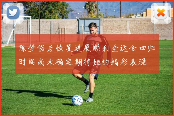 陈梦伤后恢复进展顺利全运会回归时间尚未确定期待她的精彩表现