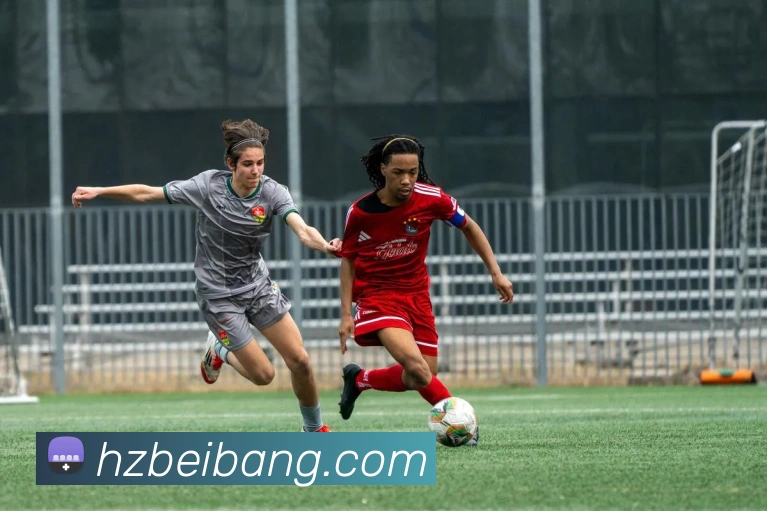 数据防护可视化