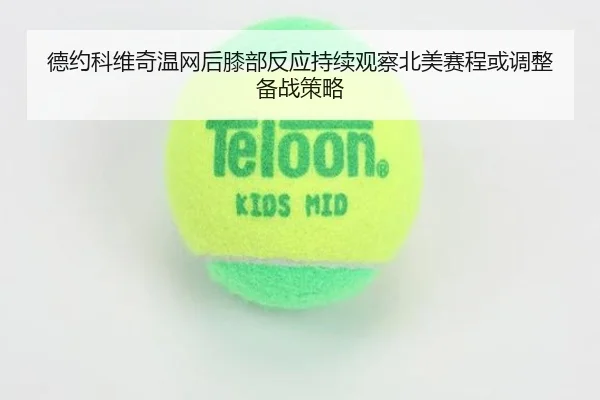 德约科维奇温网后膝部反应持续观察北美赛程或调整备战策略